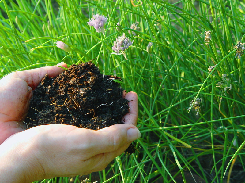 mulch